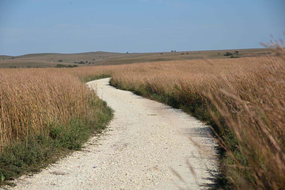 A white gravel trail winding through tall prairie grass toward rolling Flint Hills